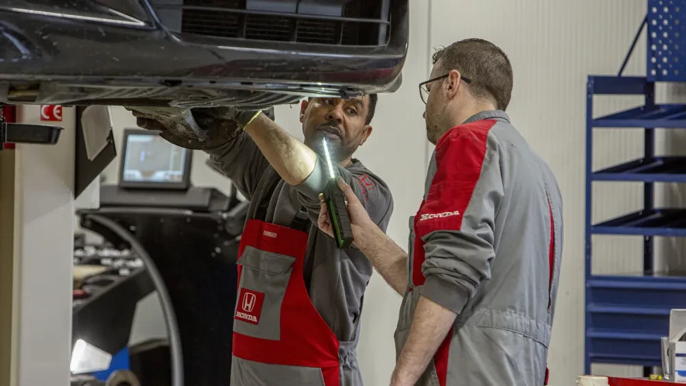 Borghstede onderhoud apk